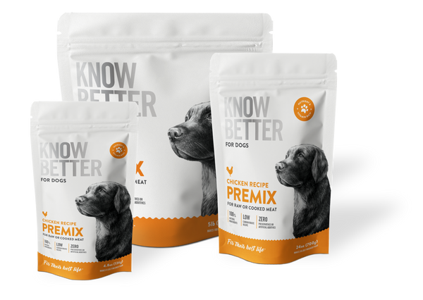 Dog supplements for homemade food deals